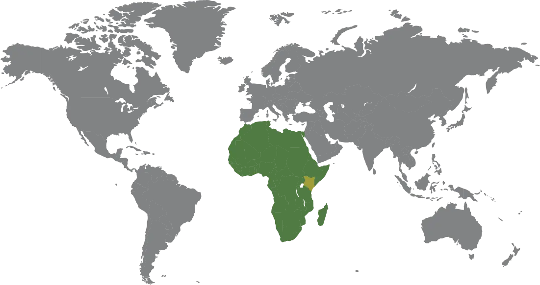 World map highlighting Africa and Kenya as FKLM Africa Foundation's regional base and continental focus