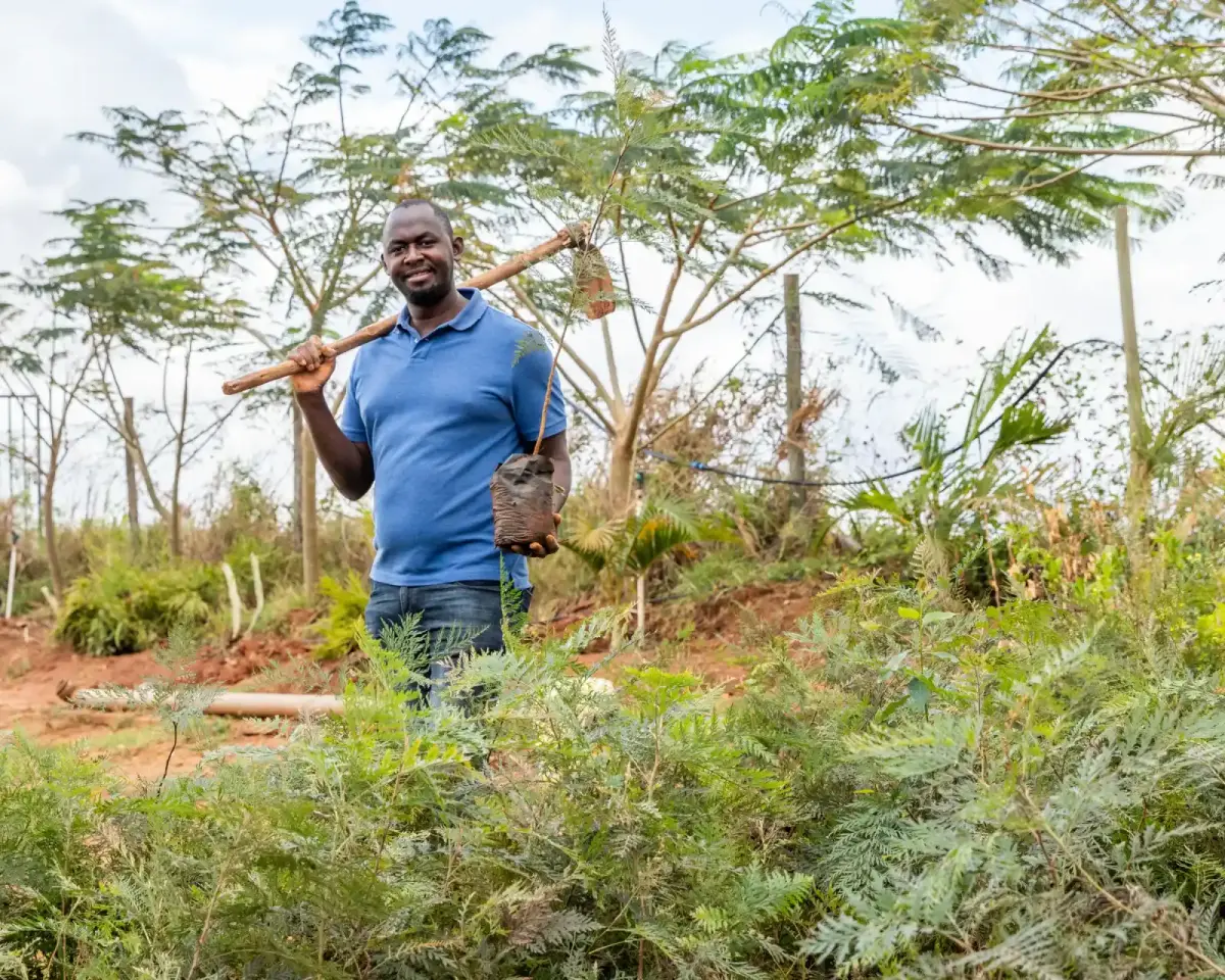 Ecosystem Restoration