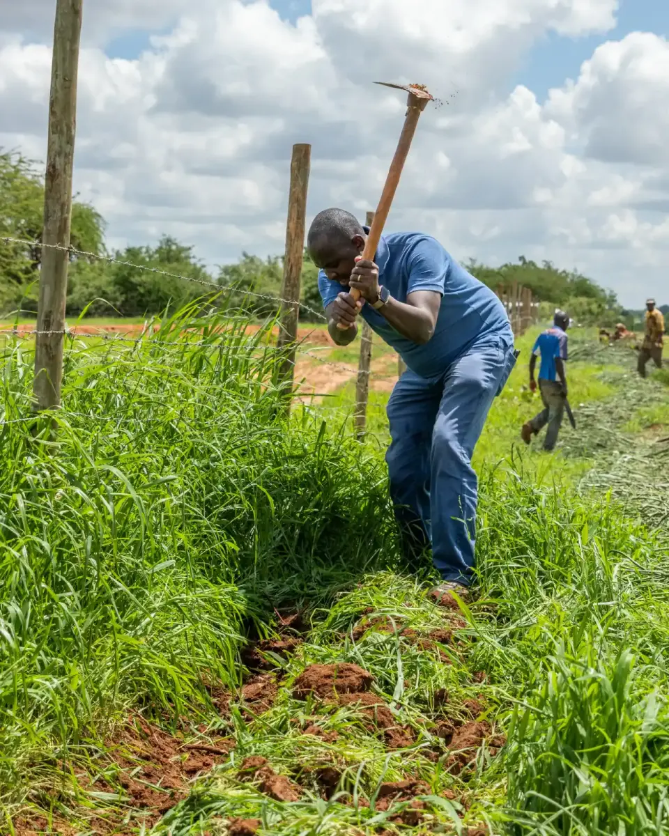 Restoration work in the field