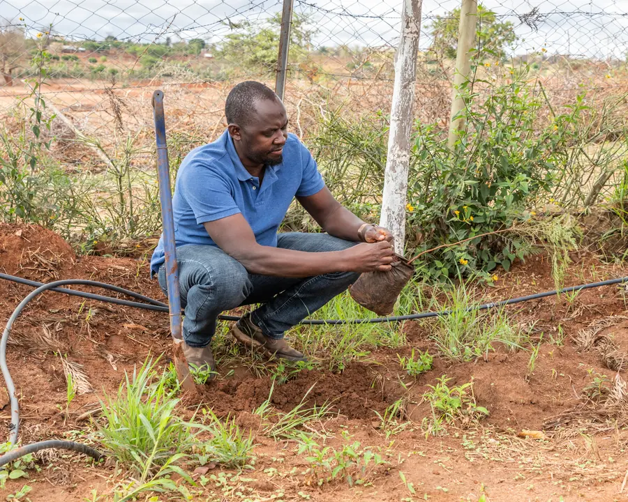 Irrigation infrastructure installation