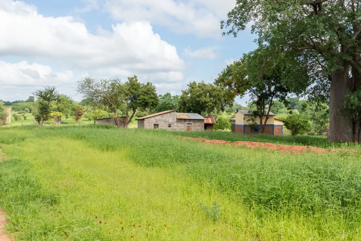 Community livelihoods landscape