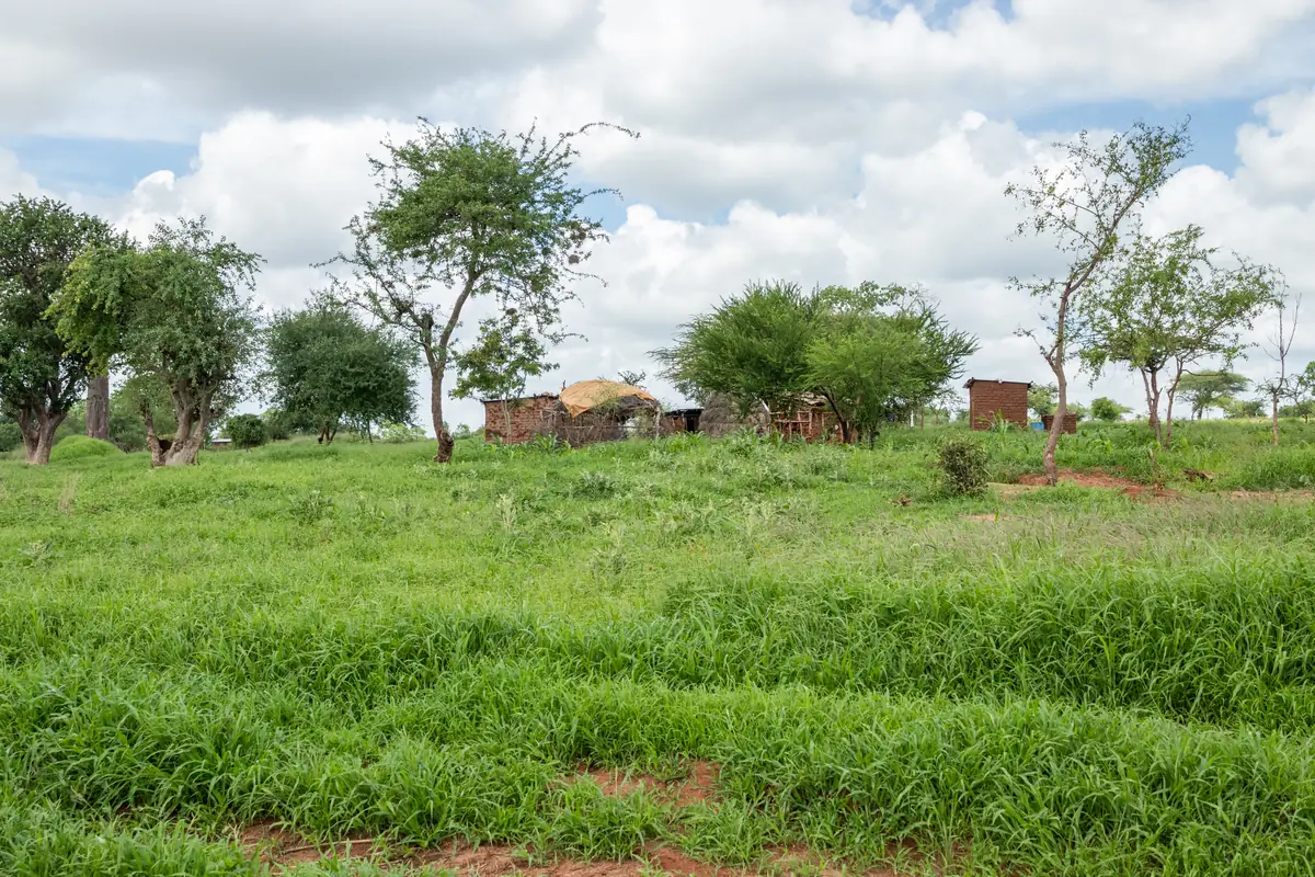 Rural community and restored landscape