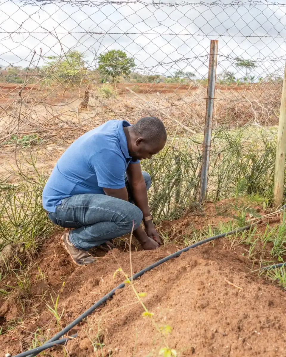 Community Engagement