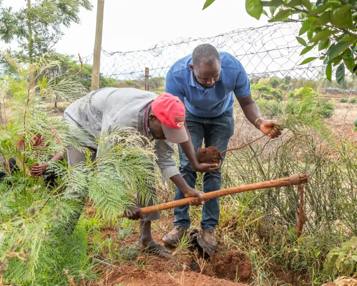 Restoration work across a wider landscape