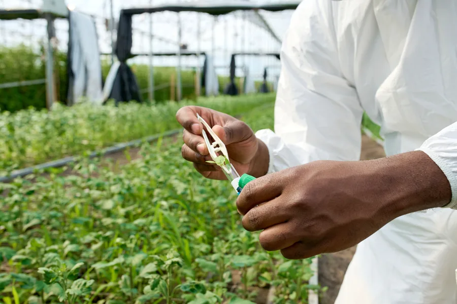 Environmental monitoring in an agricultural setting