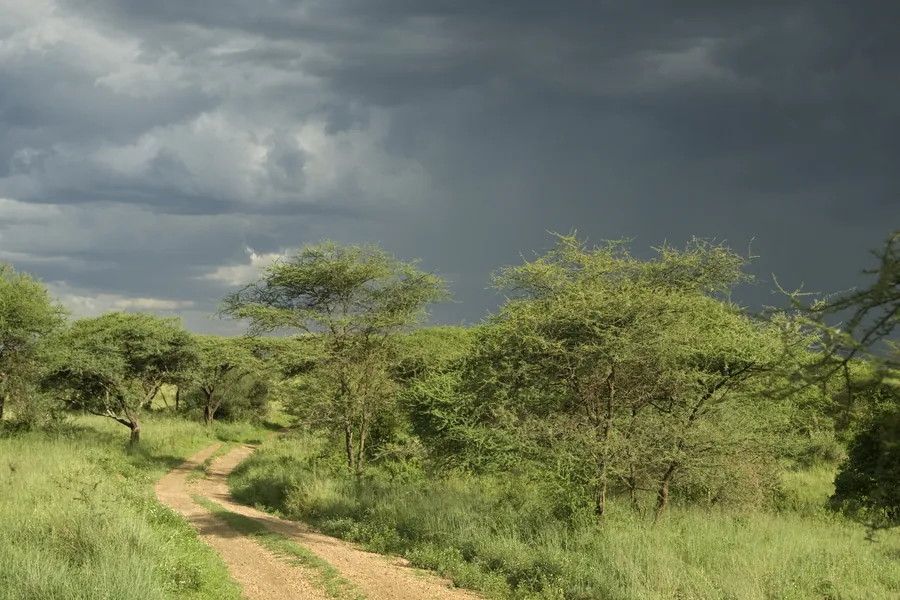 African landscape used for ecological data collection