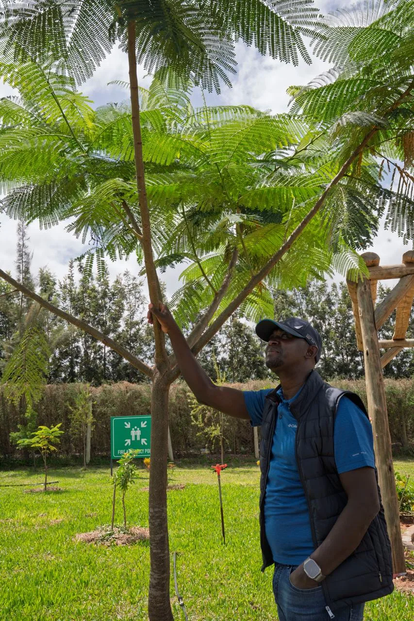 The FKLM Africa Foundation Founder inspects a young tree canopy during a landscape restoration field visit