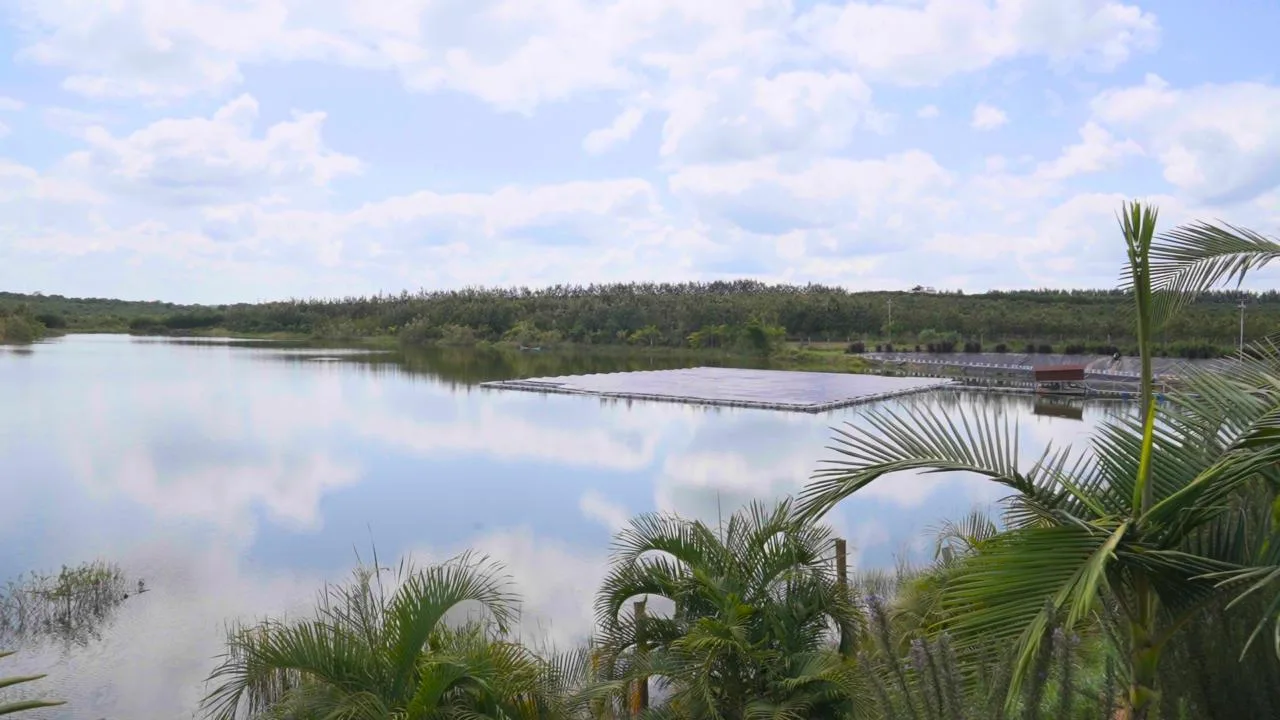 Catchment reservoir view showing stored water, vegetation, and open sky.
