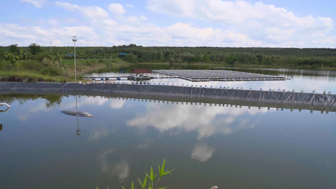 Lined reservoir edge showing stored water and surrounding catchment vegetation.