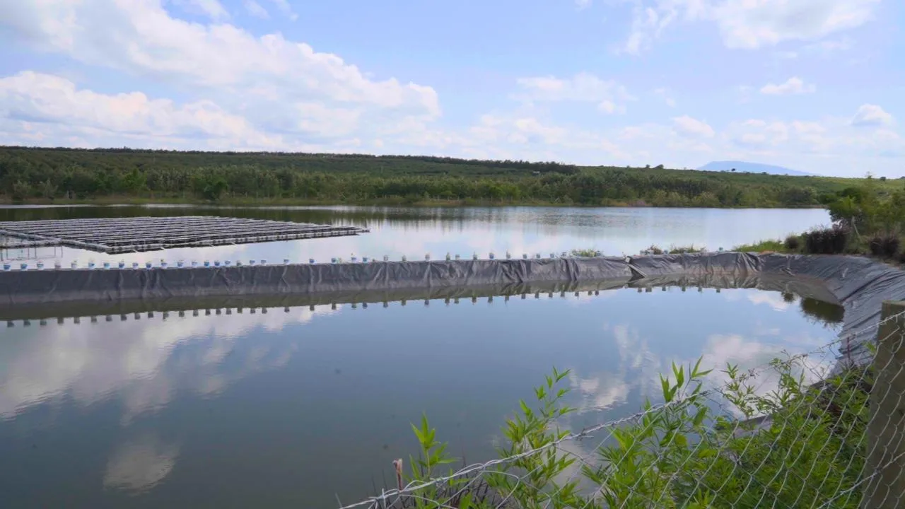 Calm lined reservoir reflecting the sky as part of FKLM water security infrastructure.