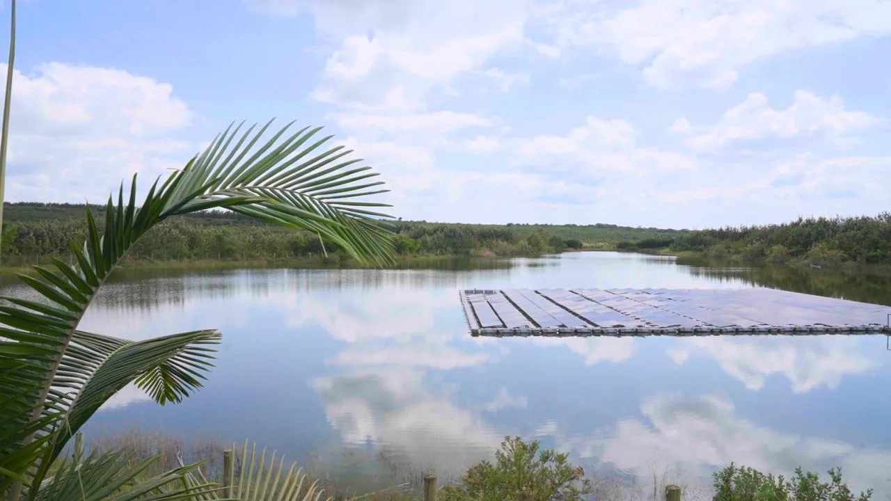 Reservoir platform and stored water viewed from a vegetated bank.