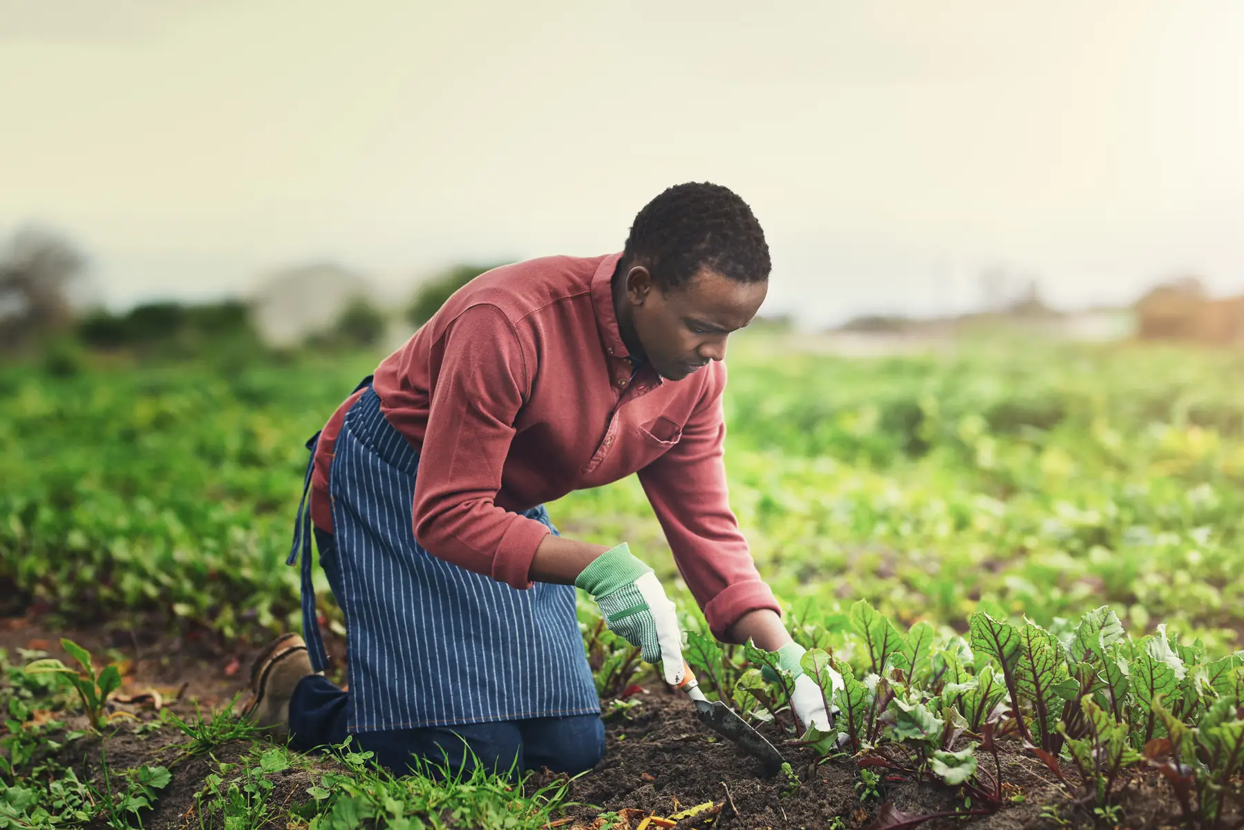 Community impact context for youth and women empowerment work