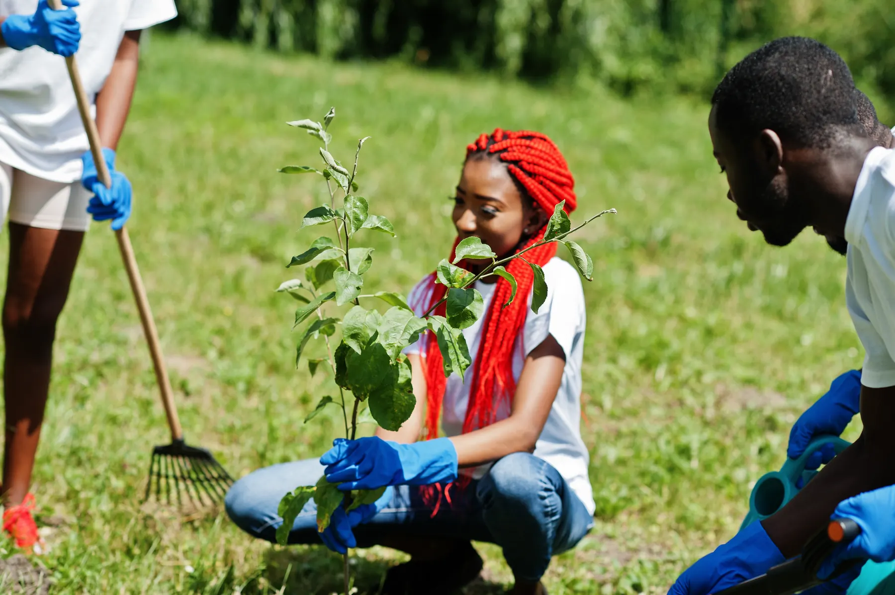 Practical ecological learning in the field